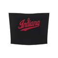 Indiana Cropped Tube Top