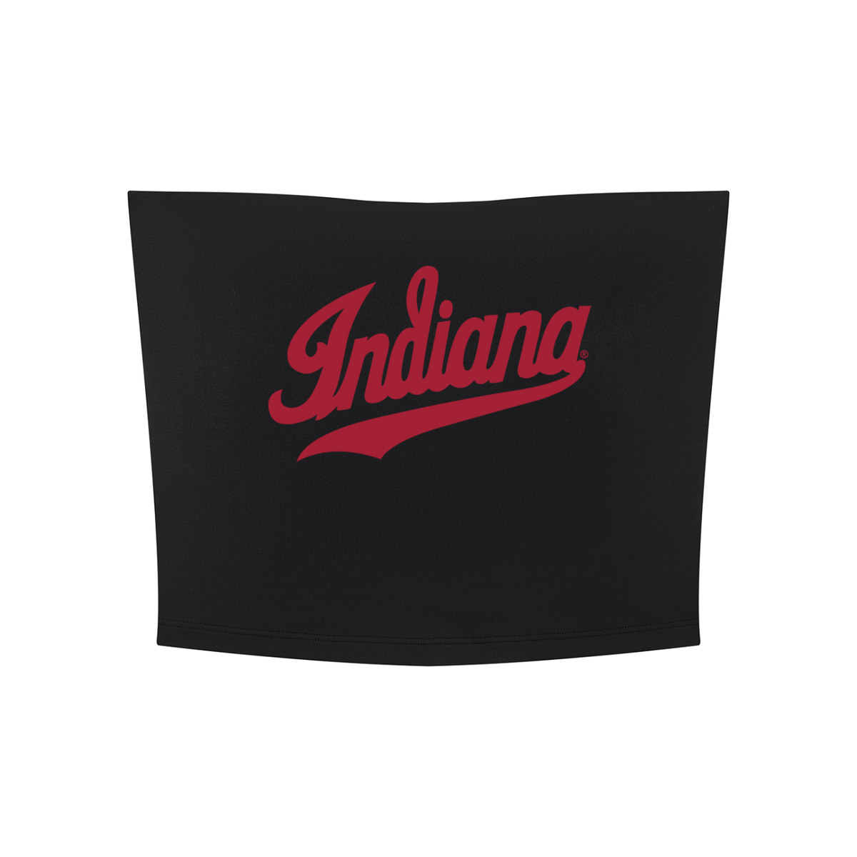 Indiana Cropped Tube Top